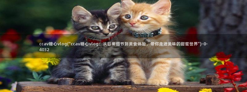 是糖心vlog传媒:ccav糖心vlog