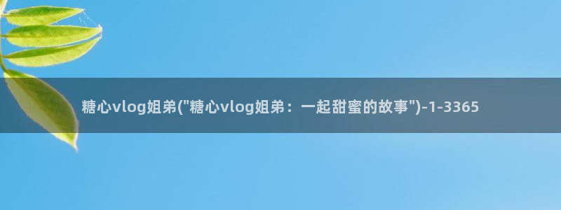 糖心小恩Vlog:糖心vlog姐弟(\