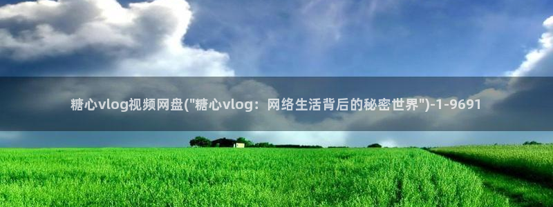 糖心vlog污:糖心vlog视频网盘(\