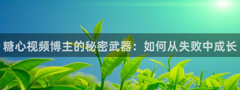 糖心vlog全部演员:糖心视频博主的秘密