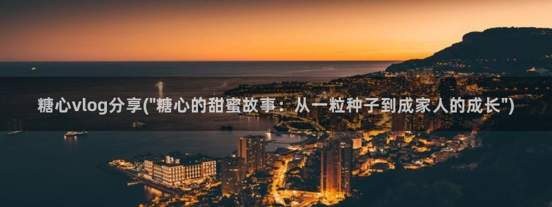 糖心vlog冉冉老师:糖心vlog分享(