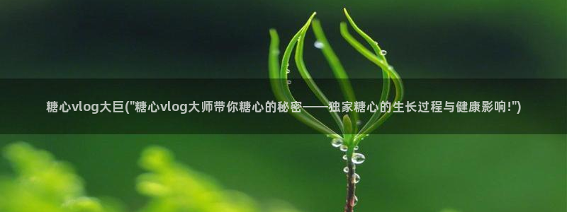 糖心出品小桃vlog:糖心vlog大巨(