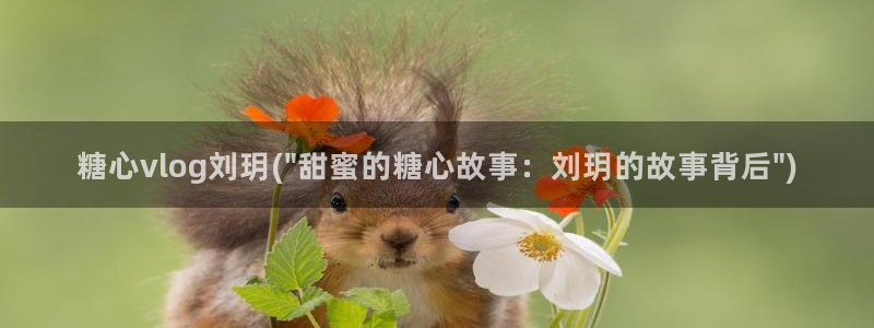 糖心娜娜糖心vlog最新:糖心vlog刘