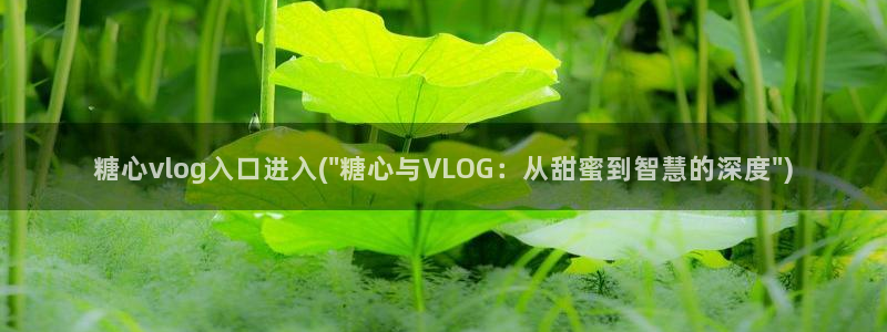 糖心vlog破解版安卓:糖心vlog入口